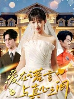 《爱在谎言与真心之间》