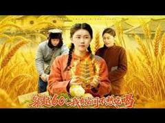 《穿越60：我有空间不愁吃喝》