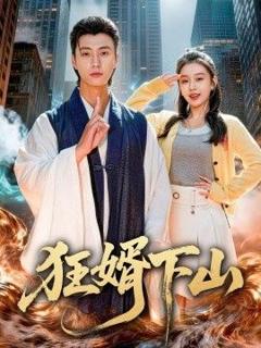 《狂婿下山》