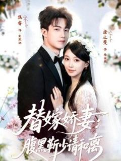 《替嫁娇妻：腹黑靳少请和离》