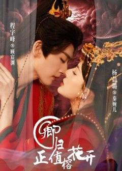 《卿归正值榕花开》