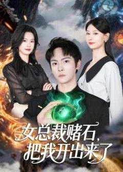 《女总裁赌石，把我开出来了》