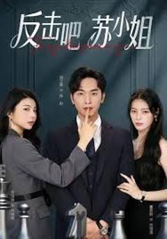 《反击吧！苏小姐》