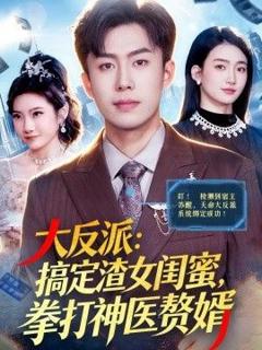 《大反派：搞定渣女闺蜜，拳打神医赘婿》