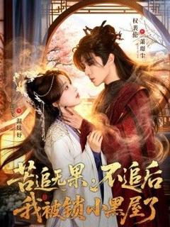 《苦追无果，不追后我被锁小黑屋了》