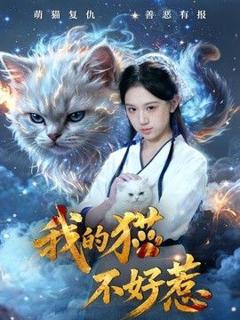 《我的猫不好惹》