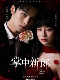 《掌中新郎》