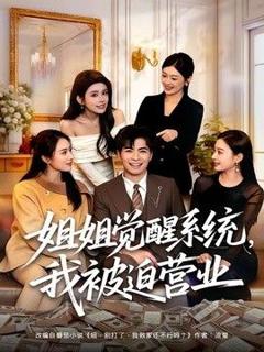 《姐姐觉醒系统，我被迫营业》