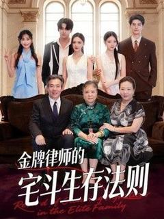 《金牌律师的宅斗生存法则》
