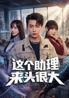 《这个助理来头很大》