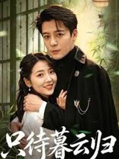 《只待暮云归》
