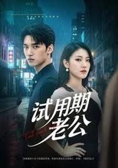 《试用期老公》