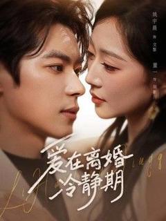 《爱在离婚冷静期》