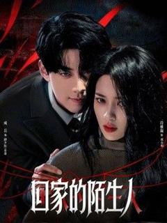 《回家的陌生人》