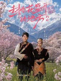 《去桃花盛开的地方2》