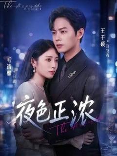 夜色正浓（2026）