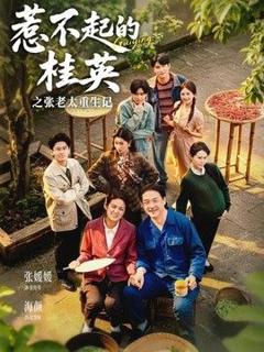 《惹不起的桂英之张老太重生记》