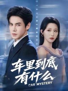 《车里到底有什么》