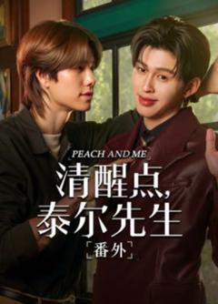 《清醒点 泰尔先生番外篇》