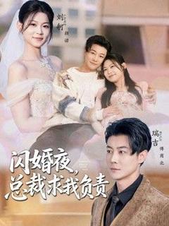 闪婚夜，总裁求我负责