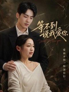 《等不到说我爱你》