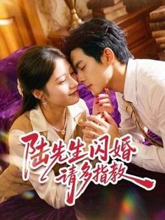 《陆先生闪婚请多指教》