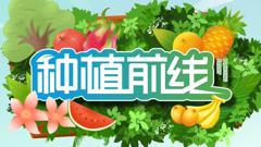 《种植前线2026》