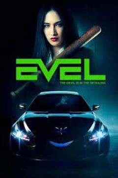 智能车劫