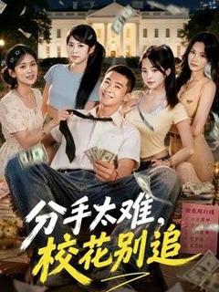 《分手太难，校花别追》