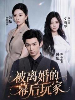 《被离婚的幕后玩家》