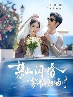 禁止闪婚，雾散归栖时